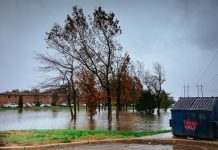 Flood Insurance: What It Is? How Does It Work? What Does It Cost?